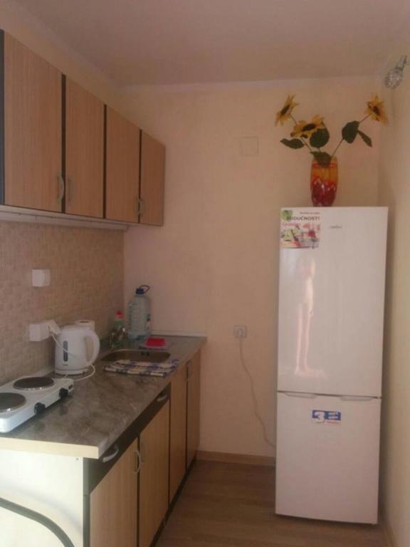 Apartments Dubrava 106 ドプラー・ヴォダ 部屋 写真
